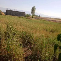 زمین-مسکونی-داخل-محدوده-روستای-سندان