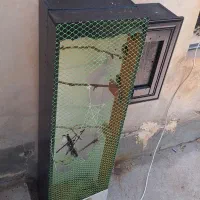 قفس پرنده