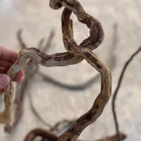 دکور(چوب)اکواریوم