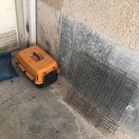 قفس نگهداری سگ