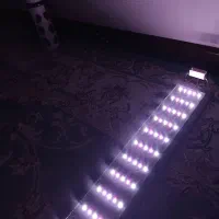 نور مخصوص پلنت و شور