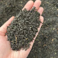 چای بهاره لاهیجان ۴۰۵