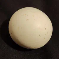 الماس اصلی با کپی شناسنامه معتبر