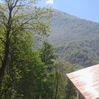 زمین کاربری  تجاری مسکونی  اسپیلی دیلمان