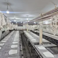 شابلون زن ماهر  و کارگر ساده