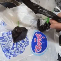 مومنایی درجه یک