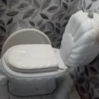 دستشویی فرنگی زیاد کار نکرده