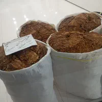 برگ زرد|گل و گیاه طبیعی|برازجان, |دیوار