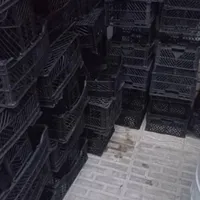سبد