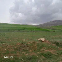 زمین-بادام-انگور-قنوات-نجف-آباد