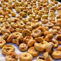 انجیر خشک پاستیلی طارم