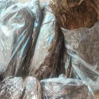 برگ درخچه تندلنکه ایی