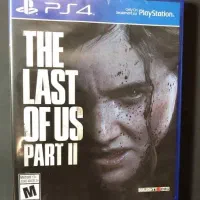 Ps4 the evil|کنسول، بازی ویدئویی و آنلاین|کرج, رجب‌آباد|دیوار