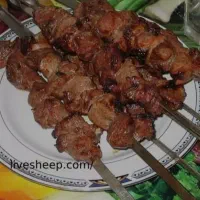 گوشت گوسفند دارم از بیست کیلوکمترنه