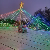 ریسه آرای علیرضا