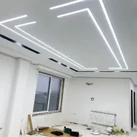 همخونه-خانم