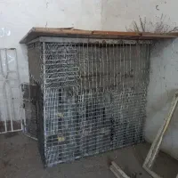 قفس اهنی|لوازم جانبی حیوانات|حمیدیه, |دیوار