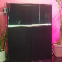 اکواریوم ۱۲۰ در ۶۰ شییشه ۶ میل ساپ دار