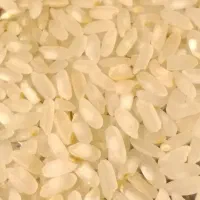 برنج  و خورده برنج کامفیروزی اصل