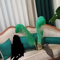 شاه پر کلاه خودی سبز و قرمز