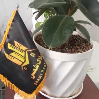 فروش اپارتمان