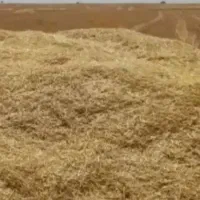 خریدار کاه