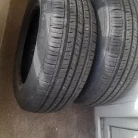 لاستیک ساینا ،تیبا،کوئیک