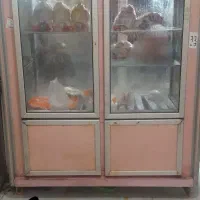 یخچال صنعتی مرغ فروشی