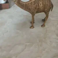 شتردکوریه برنز