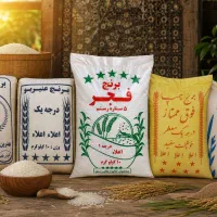 برنج عنبربو،فجر،چمپا،کامفیروز،لنجان