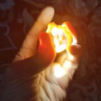 ۳۰ کیلو سنگ برش نخورده