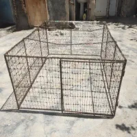 قفس مرغ خروس پرنده