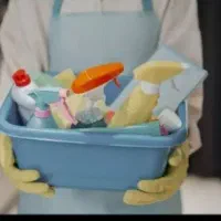 نظافت ساعتی