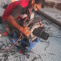 خروس ومرغ