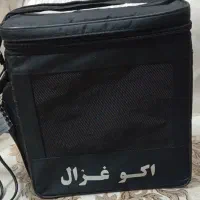 اکو غزال باند فلش خور