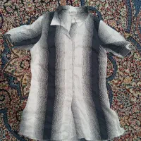 طرح دار