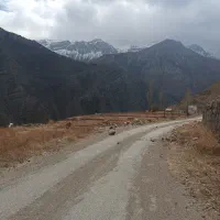زمین فروشی در جاده هراز شهر رینه