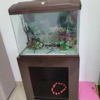 آکواریوم با لوازم جانبی و میز چوبی مخصوص