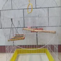 قفس