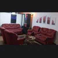هم-خانه