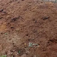 کود حیوانی|خدمات باغبانی و درختکاری|گلپایگان, |دیوار