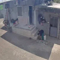 کارگر ساده باغ