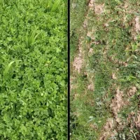 راه اندازی کسب و کار در حوزه کشاورزی نوین