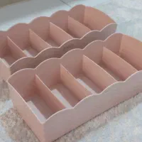 نظم دهنده