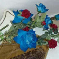 گلهای زیبا وتمیز