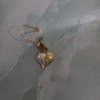 گوشواره گمشده
