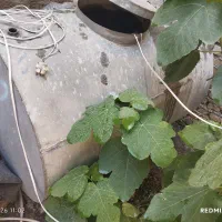 فروش تانکر ۱۰۰۰ لیتری فلزی