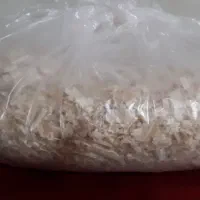 پوشال برای پرنده