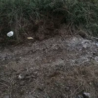 زمین تجاری بر اصلی روستای کاکا
