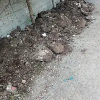 کود حیوانی